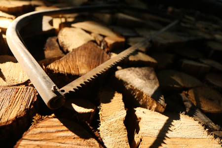 A picture of aligned chopped wood with an old saw on it.の写真素材