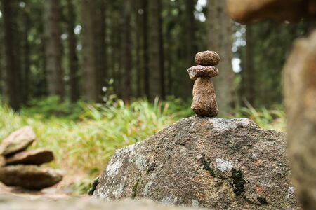 A picture from the old deep BoubÃ­n wood in Czech Republic.