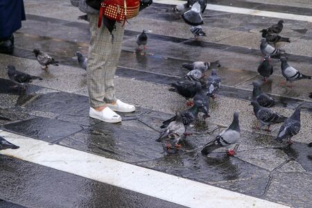 People are feeding the pigeons standing on the pavement on the square in Milan, Italy.の写真素材