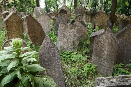 The very old jewish cemetery with a lot of shabby stone tombstones.の写真素材