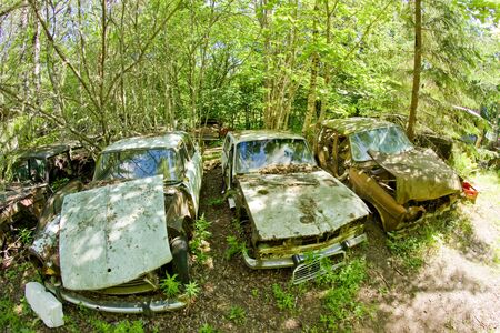 Vintage feeling picture of cars turned into wrecks deep in swedish forests. The nature is slowly taking control.の写真素材
