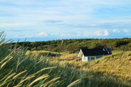The traditional colorful wooden recreational cottages by the coast of the sea in Sweden, hidden behind the dunes.の写真素材
