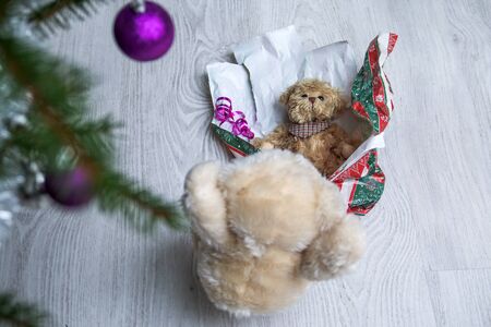 A cute teddy bear is finding another smaller teddy inside his christmas present.の写真素材