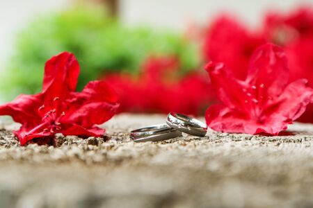 A detail picture of two wedding rings lying on a wood among the red flowers.の写真素材