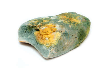 The picture of a fully mouldy bread. Rotten and uneatable. Isolated on white background.