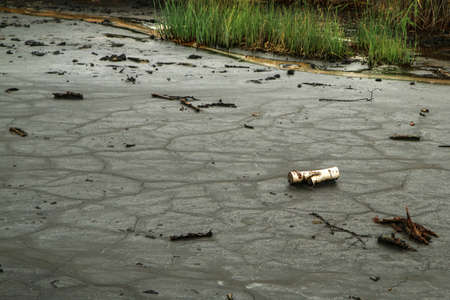 The picture from the national protected area in Czech Republic called SOOS. The former peat mining...