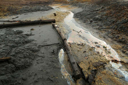 The picture from the national protected area in Czech Republic called SOOS. The former peat mining...