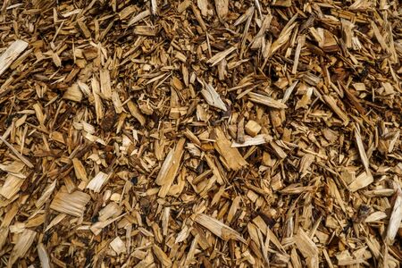 A very large pile of wood chips