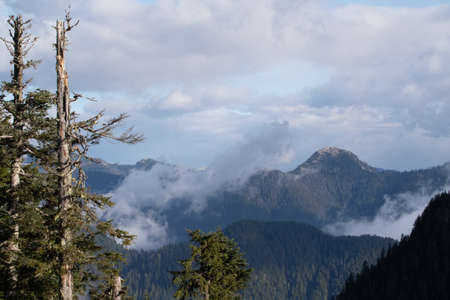White and bright clouds, as seen from atop Grouse Mountain.の写真素材