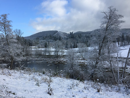 Winter landscape with frozen river and forest in the background, Scotland, UKの写真素材