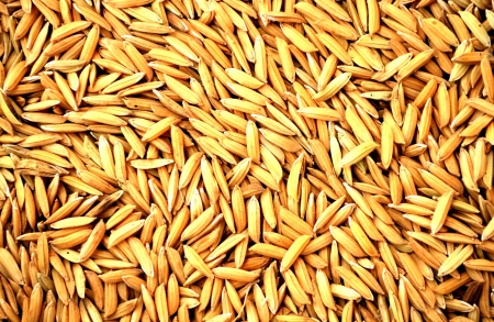 Pile of Brown Rice Isolated on White Backgroundの写真素材