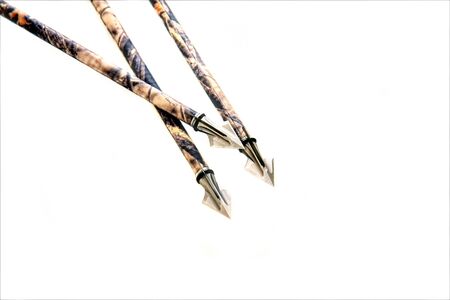 broad head arrowsの写真素材