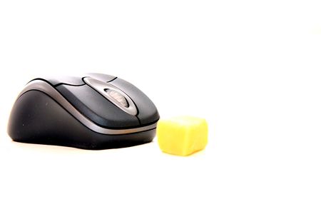 computer mouse with cheeseの写真素材