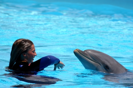 Dolphin trainer during the show at Zoomarine Park,Torvaianica, Rome, Italy, 27.05.2010. EDITORIAL USE.のeditorial素材