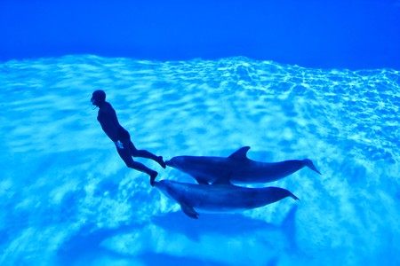 New Mondial Record In Freediving Established By Simone Arrigoni at Zoomarine Park, Torvaianica, Italy on 27.05.2010 - Simone Arrigoni, multiple prizewinner in freediving, pushed by the dolphins Paco and King setting a new world record on 27.05.2010のeditorial素材