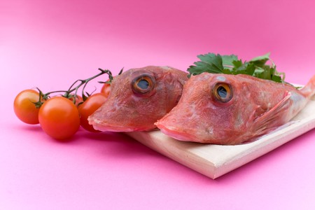 Food - Fish - Plate with red gurnard fish, studio isolated.の写真素材