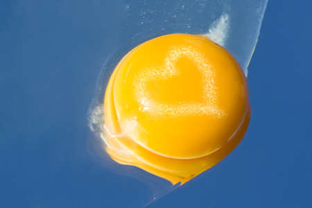Food Ingredients - Closeup of egg yolk with white heart above.の写真素材