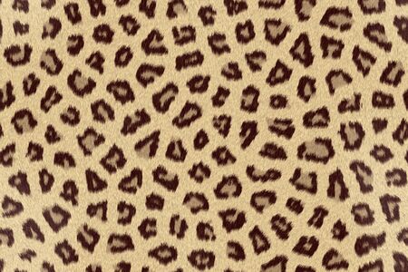 Backgrounds And Textures - Leopard skin texture.