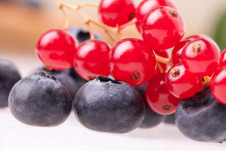 Fruits - Blueberries and redcurrants の写真素材