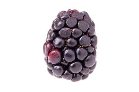 Fruits - Macro of blackberry isolated on white background の写真素材