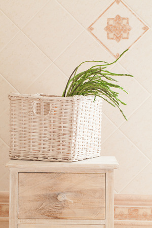 Provence style with bunch of wild asparagus in basket on top of white cabinet.の写真素材