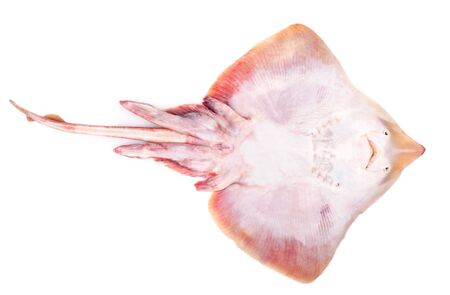 Ray fish (buttom) isolated on white background.の写真素材