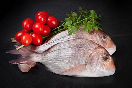 Raw Dentex fish with garlic, parsley and tomatoes on black background.の写真素材