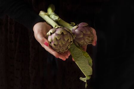 Woman hands holding fresh cut artichokes from the garden.の写真素材