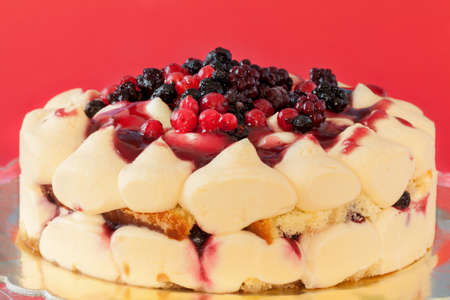 Fresh tiramisu cake with wild berries: blackberries, blueberries and redcurrant, on red background.の写真素材