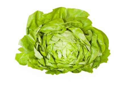Fresh butterhead lettuce isolated on white background.の写真素材