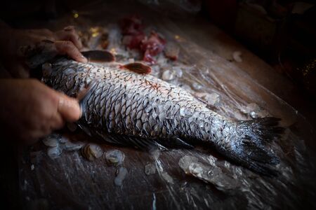 Man hands cleaning carp from scales on old table.の写真素材