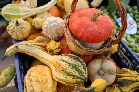 Mix of squashes inside plastic case on market stall.の写真素材