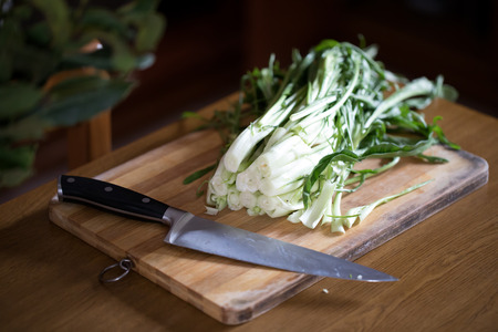 Catalonia chicory or puntarelle in Italian, on wooden board with knife. This type of chicory is a traditional vegetable used in the roman cuisine.の写真素材