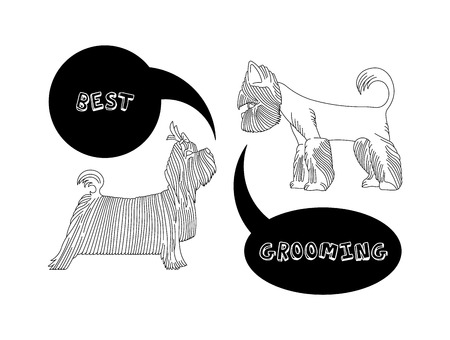 Version of the  advertisement for a hairdresser\'s salon for pets. Vector, easy recolor.のイラスト素材