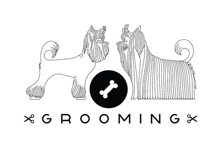 Vector dog beauty grooming illustration with Yorkshire Terriers. Vector dogt grooming logo. Dog groomer logo.のイラスト素材
