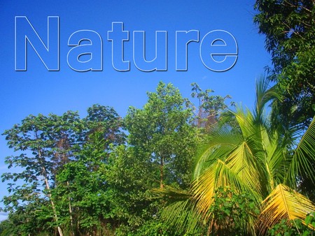 Nature Conceptの写真素材