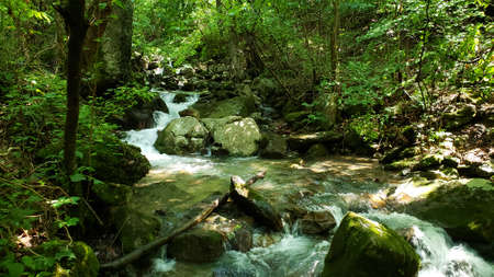 Mountain Stream in Cumberland Gapの写真素材