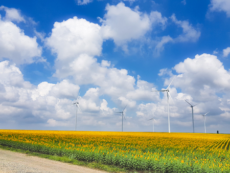 Alternative energy produced by wind turbines in a sunny summer day in a scenic landscape with a sunflower fieldの写真素材
