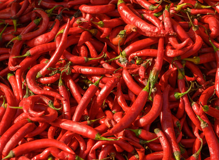 fresh appetizing red hot pepper at the bazaar on the island of Cyprus in autumnの写真素材