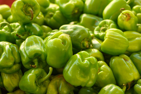 fresh green peppers at local marketの写真素材