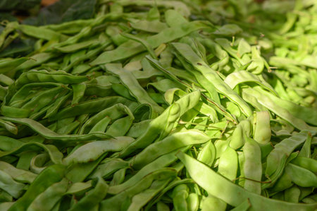 fresh pods of green beans at the local market 1の写真素材