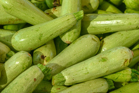Appetizing zucchini at the market on the island of Cyprus in autumnの写真素材