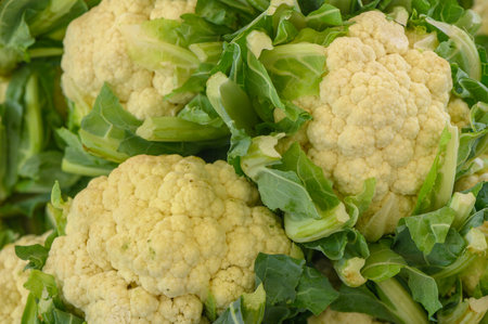 fresh cauliflower at the local marketの写真素材