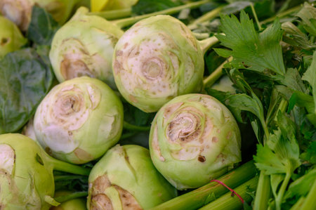 fresh kohlrabi cabbage at the market on the island of Cyprus in autumnの写真素材