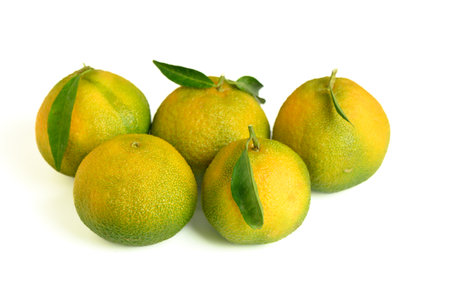 five fresh tangerines on a white backgroundの写真素材