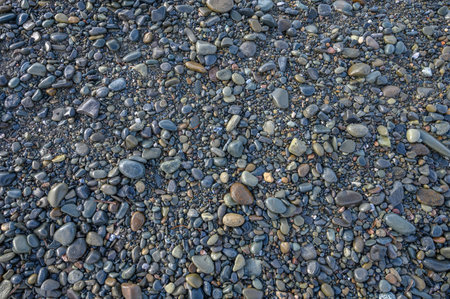 sea ââpebbles on the sand of the beach 3の写真素材