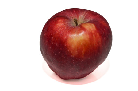 red apple on white background 8