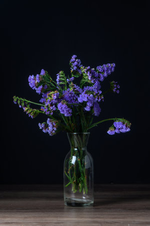 Kermek, limonium, statice, is a popular flower in the Mediterranean. 6の写真素材
