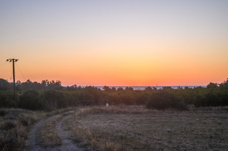 Sunset over the sea with a road and trees in the foregroundの写真素材