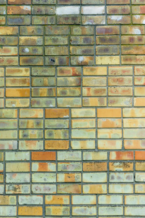 View of the old yellow brick wall.3